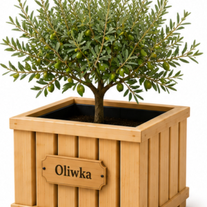 Drewniana Donica PREMIUM „Oliwka” z tabliczką