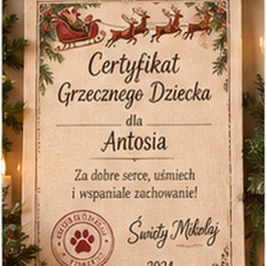 Certyfikat Grzecznego Dziecka na bawełnie – personalizowany